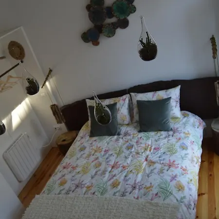 Old In New Appartement Oporto