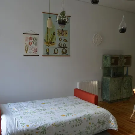 Apartment Old In New Porto